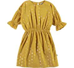 Carlys Dresses
